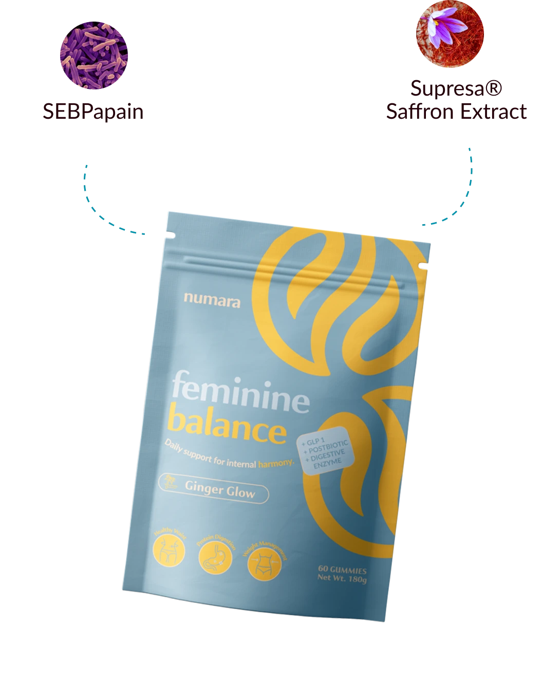 GLP1 Support Gummy Numara GLP1 Support Gummy Numara